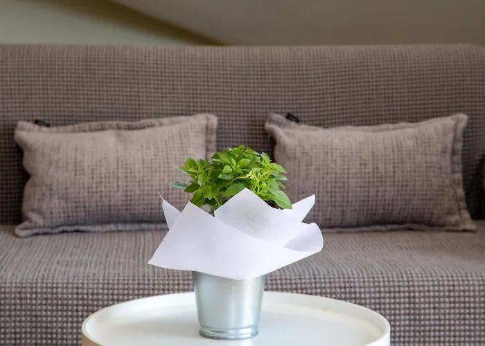 Anthi's Apartment Lixouri