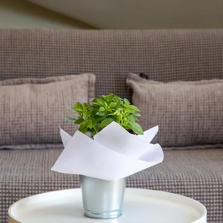 Anthi's Апартаменты Ликсури